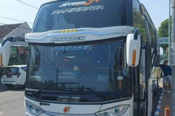 Bus pariwisata 